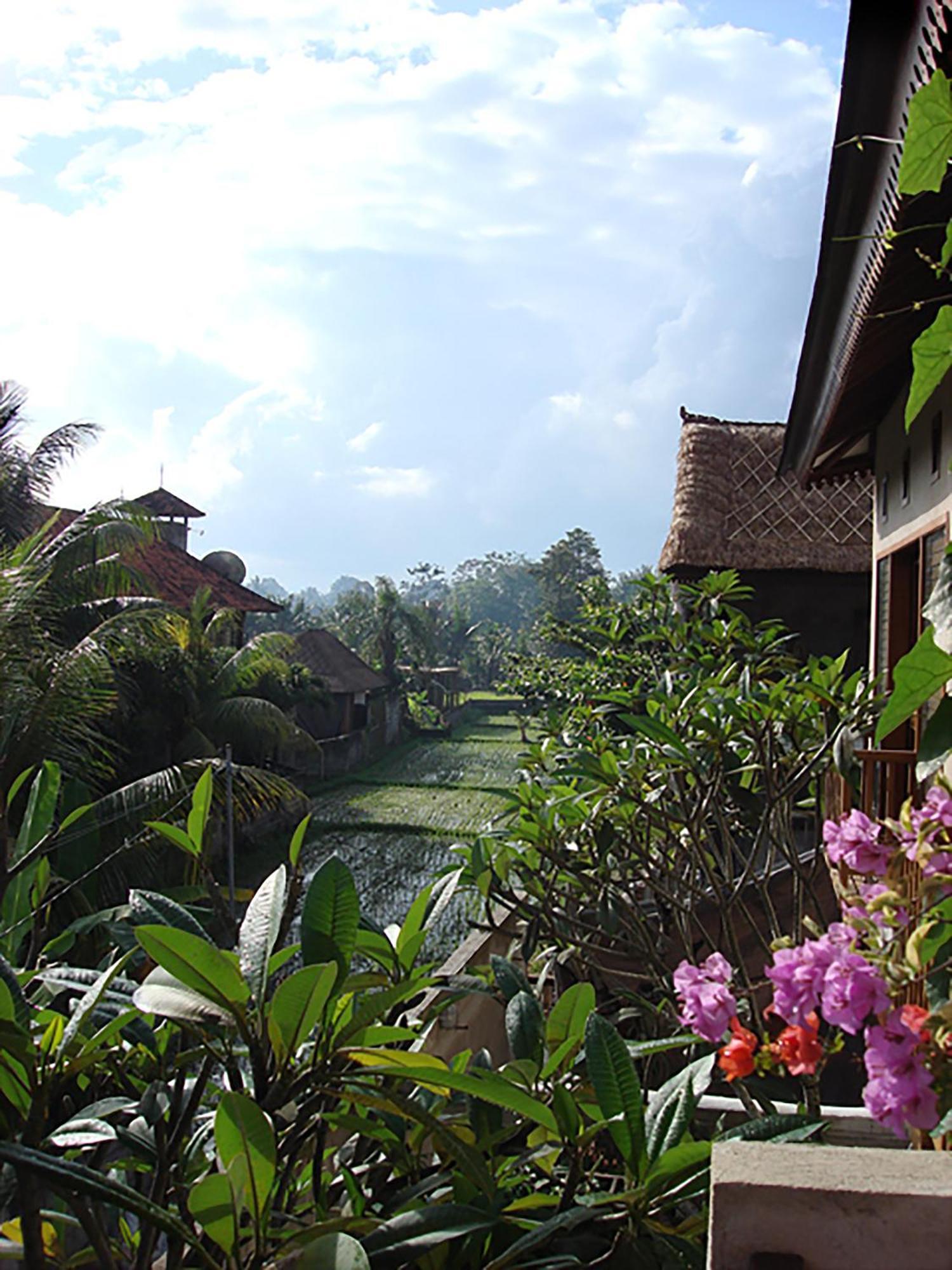 Villa Puriartha Ubud - Chse Certified Экстерьер фото